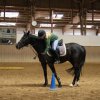 Ponyralley 088